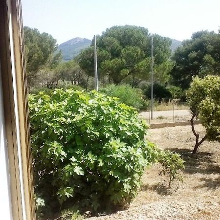 Privacy & Relax In Sardegna Bed & Breakfast Porto Conte Ngoại thất bức ảnh