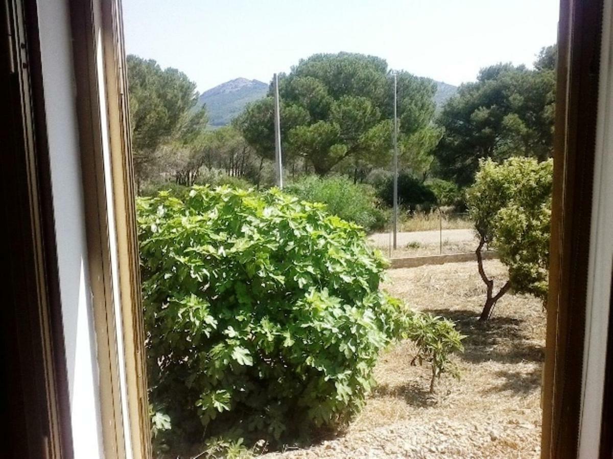 Privacy & Relax In Sardegna Bed & Breakfast Porto Conte Ngoại thất bức ảnh