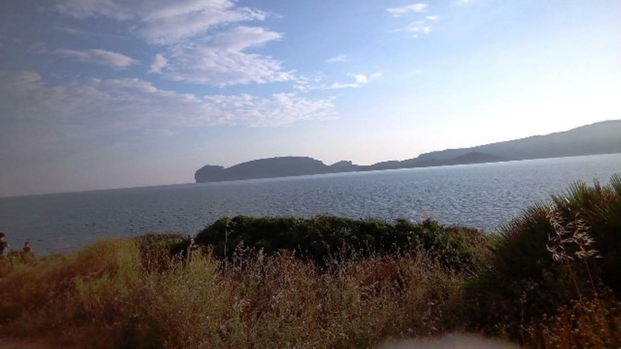Privacy & Relax In Sardegna Bed & Breakfast Porto Conte Ngoại thất bức ảnh